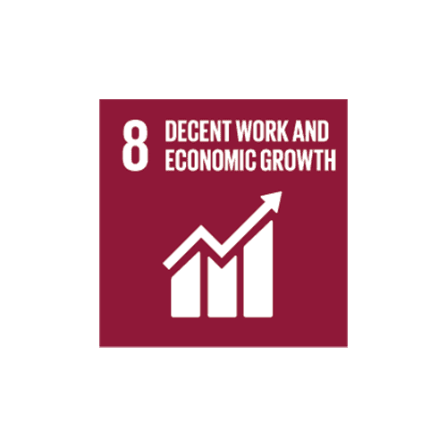 SDG 8 Decent Work and Economic Growth