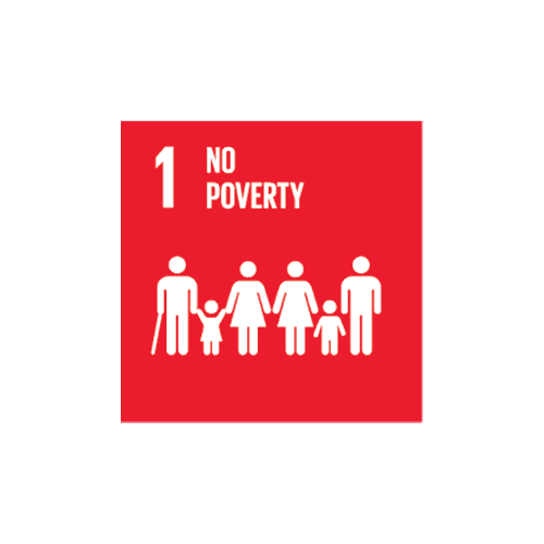 SDG 1 No Poverty
